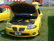 Goat Gto